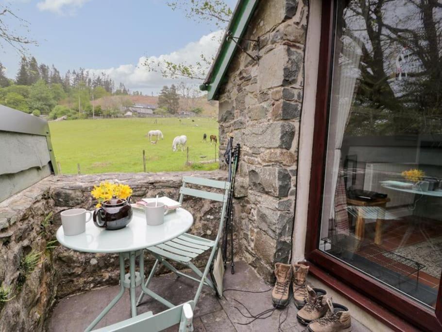Y Gribyn - Modern Stone Cottage Within Snowdonia'S National Park Dolgellau Luaran gambar