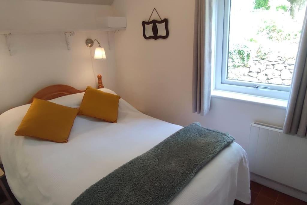 Y Gribyn - Modern Stone Cottage Within Snowdonia'S National Park Dolgellau Luaran gambar