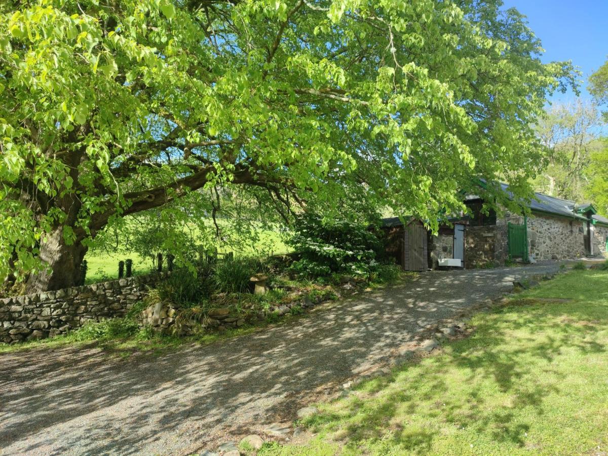 Y Gribyn - Modern Stone Cottage Within Snowdonia'S National Park Dolgellau Luaran gambar
